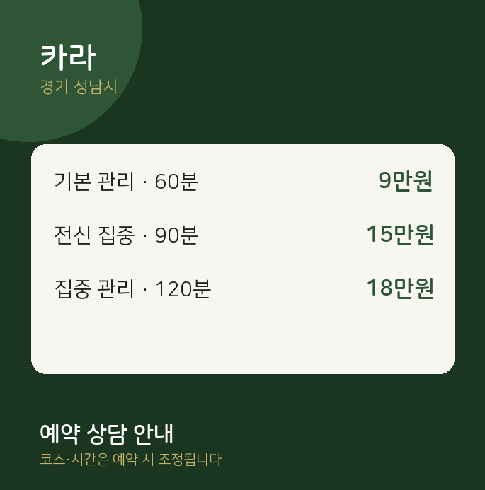 성남시 스웨디시 카라