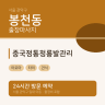 중국정통청룡발관리