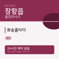 장항읍 출장 뽀송홈타이