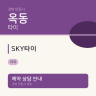 SKY타이