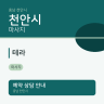 테라